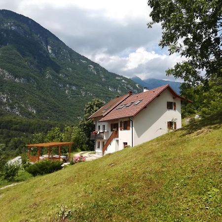 Ferienwohnung Apartma Elizabeth Srpenica Exterior foto
